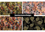 create seamless texture patterns for packaging branding and merchandise
